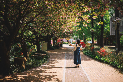 2022-04-24JEONJU UNIVERSITYCanon EOS R3 + RF50mm f1.8 STMInstagram  |  hwantastic79vivid