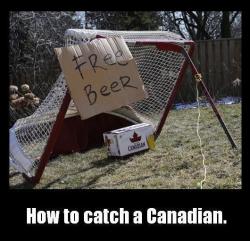 Hockey And Beer, The Sure Canuck Lure