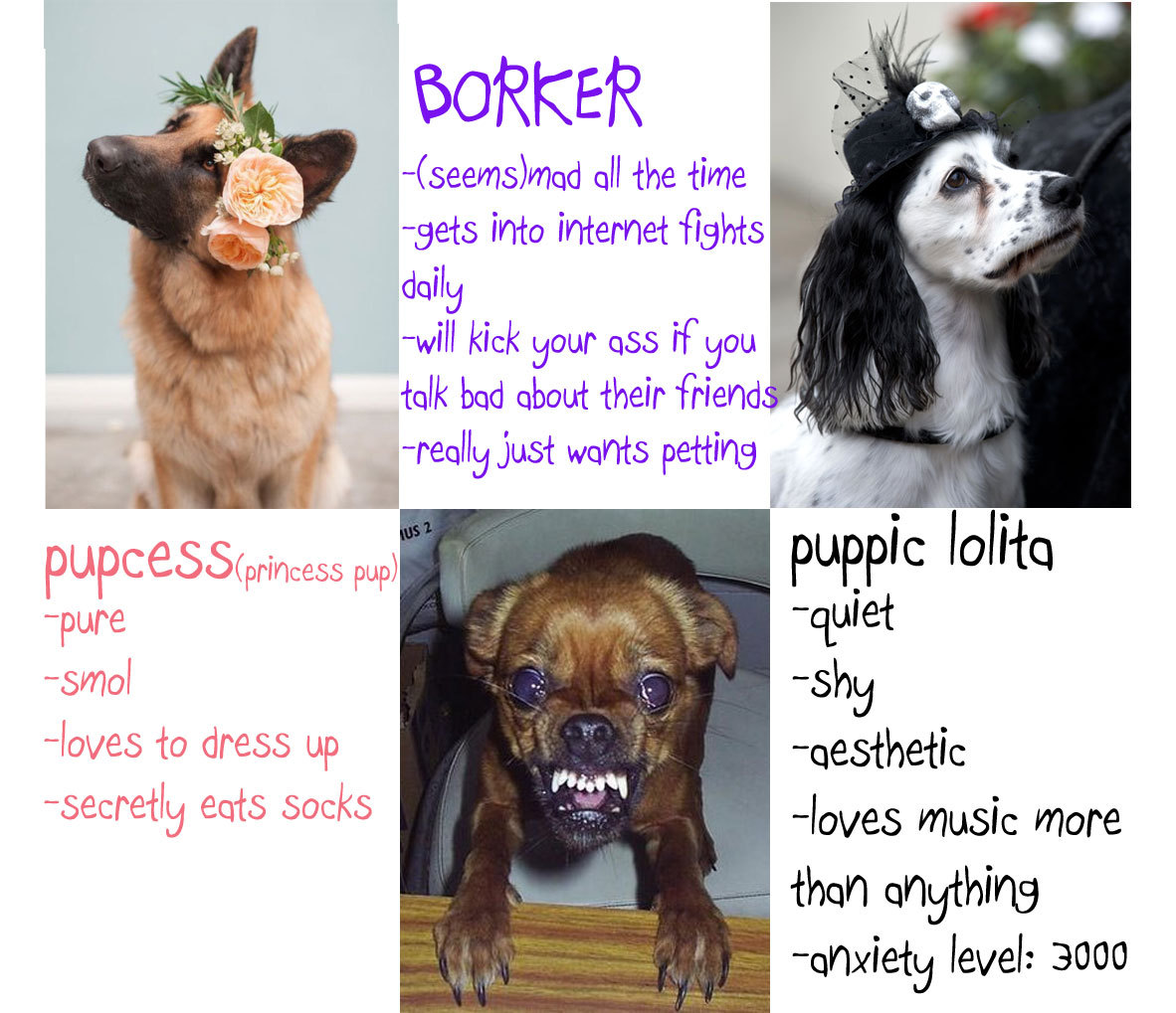 doctornsara:  TAG YOURSELF: Doggo edition I made a thing for my other blog @good-dog-girls ‘s