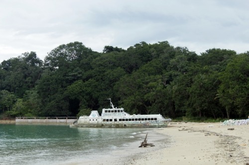 a-fallen-wolf: Ruins  Isla Contadora, Panama, September, 2018