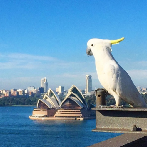 In 2003 Jørn Utzon, a Danish architect, won the Pritzker, one of most important prize in