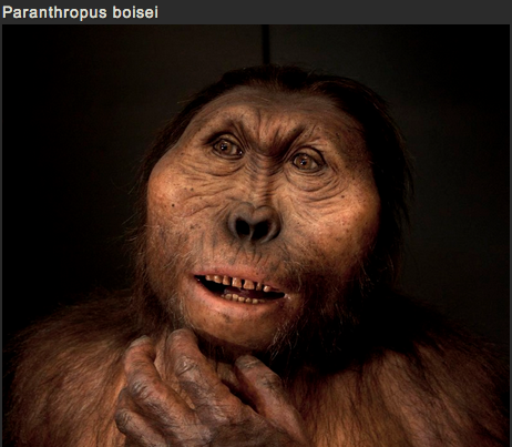 sixpenceee:  SCULPTING HUMAN EVOLUTION  Paleoartist Elisabeth Daynès is reconstructing human evolution through her sculptures. The sculptures above are in no particular order.  You can view more pictures and get more information here
