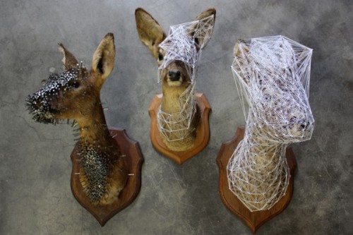 deerypoof:  French artist Julian Salaud takes taxidermied deer and covers them in nails, threads, an