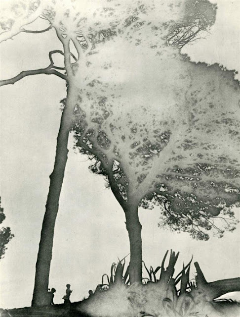 nobrashfestivity:Maurice Tabard, 1930s