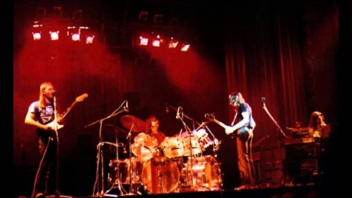 pink floyd in chicago, 1977, during their animals tour