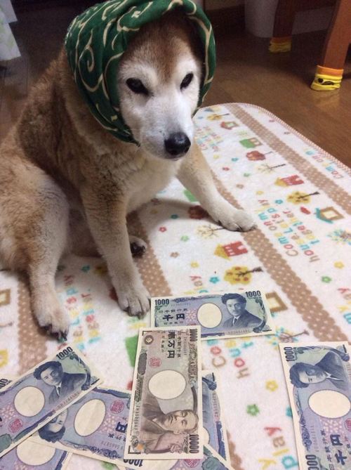 SHEEBS