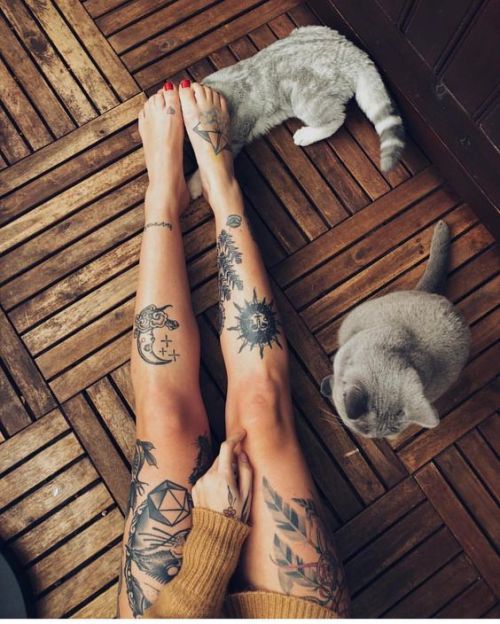 protect-and-love-animals:I love cats and tattoos 