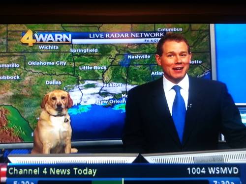 Porn bewbin:  “the weather seems ruff today photos