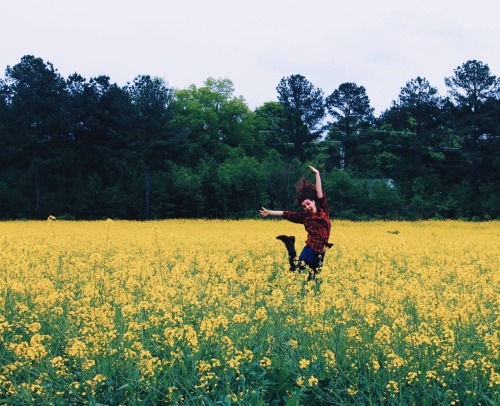 I really. Really. Like flower fields. Anna Xenitelis, 2015.