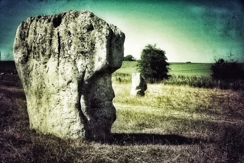 West Kennet Stone Avenue, nr Avebury, Wiltshire, 27.6.18.