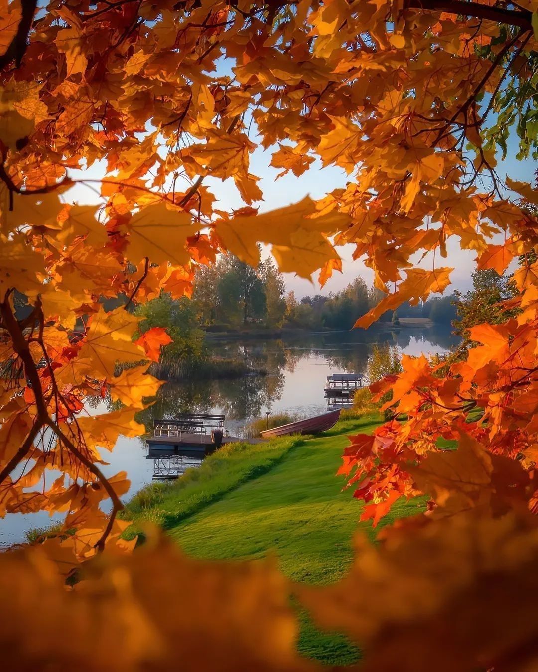 Autumn in Finland 🍂 Follow...