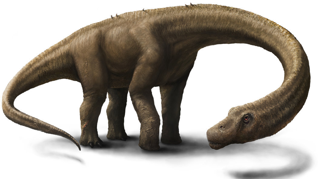 Dreadnoughtus, the largest land mammal ever known to exist