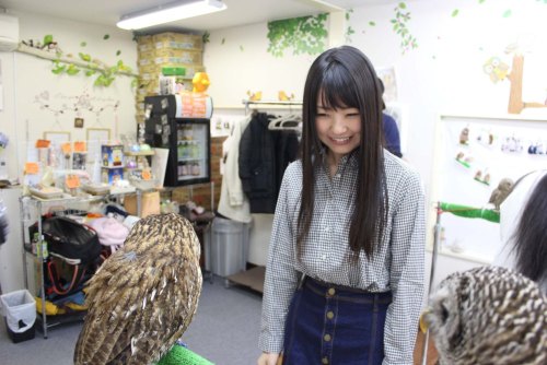 つぼみ「つぼみたんとお散歩たんR」第②回 AV女優・つぼみたんと一緒に新宿周辺お散歩デート編（前編）