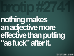 brotips™