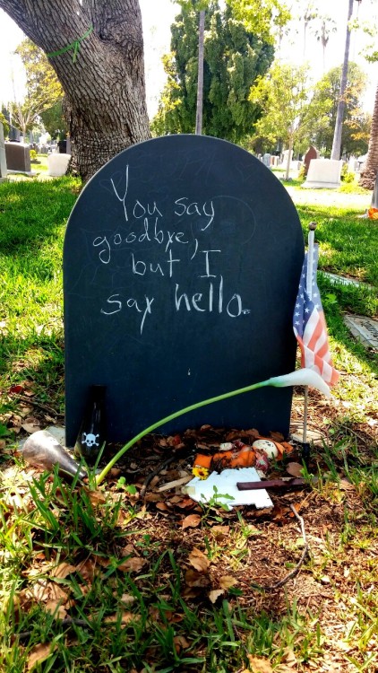 Hello Goodbye, Hollywood Forever Cemetery.