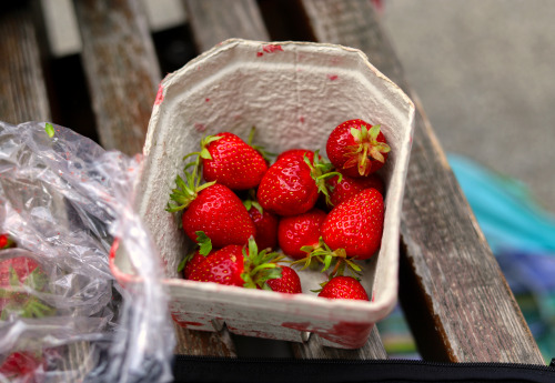  Die Erdbeeren sind in Deutschland so viel besser 