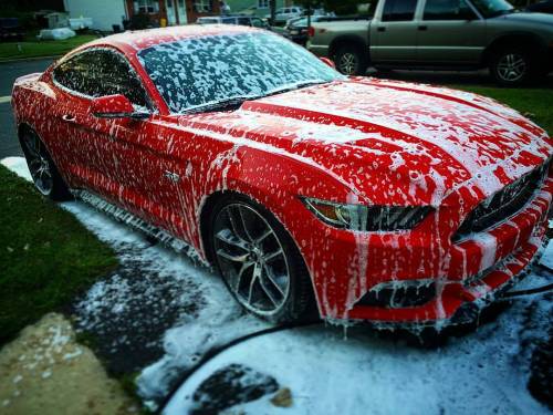 chemicalguys:  Foam bath time #chemicalguys #ilovemytoys #ford #mustanggtpremium #mustangs550 #mustanggt Thanks @ryanchambers0 for sharing your ride and your shine