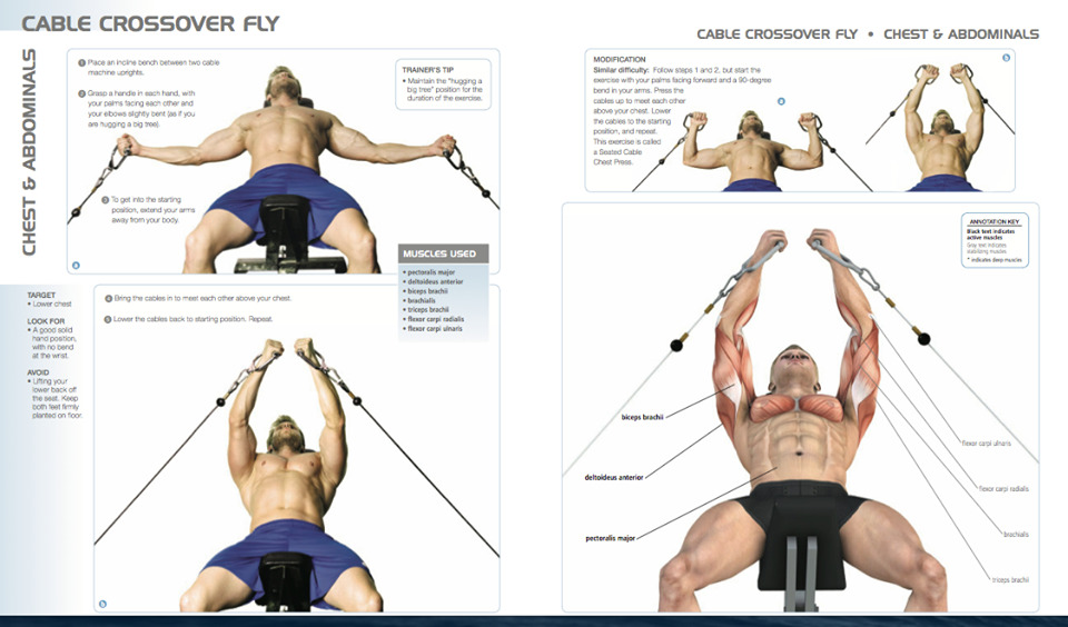 Craig Ramsey workout part 2