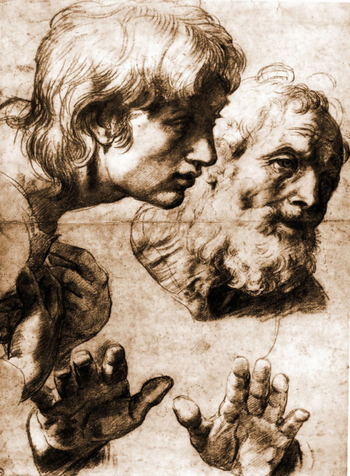 artist-raphael:Studies for the Transfiguration, RaphaelMedium: pencil,paper