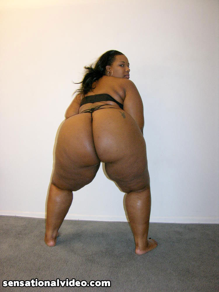 Bbw Crystal Clear. Love this chocolate honey ,would have loved to have those pudgy