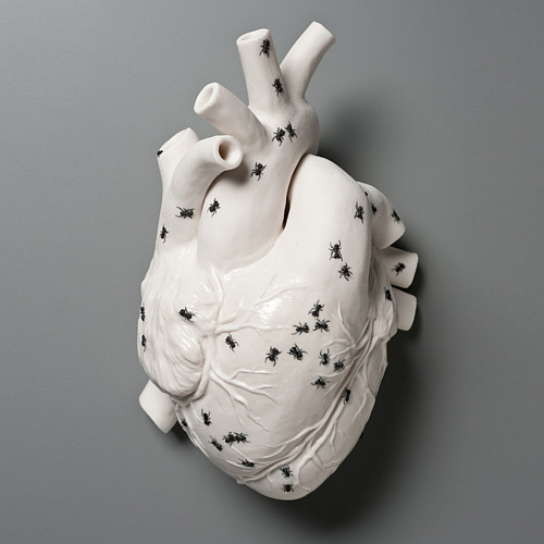 misswallflower:porcelain sculptures by Kate Macdowell