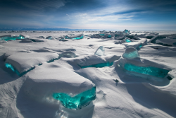 Tulipnight:  Baikal Treasures By Alexey Trofimov 