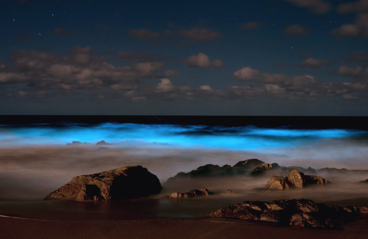 nubbsgalore:  though beautiful, these fluorescent blue patches of water are an indicator