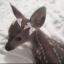 mellowbookslibrariesofbooklr