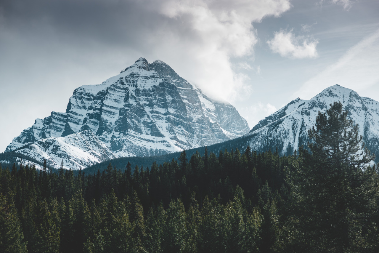 teapalm:  (Tasha Marie) | Day trip to Banff instagram | society6 