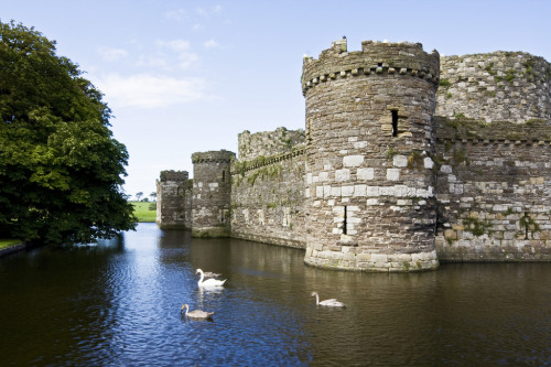 allthingseurope:Beaumaris Castle, Wales (by Jelle Drok)