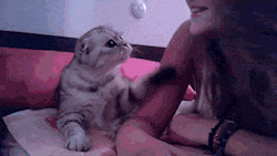 let-there-love:  &gt;&lt; 