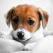 jimij29:bluelady329:@nightwatcher6 