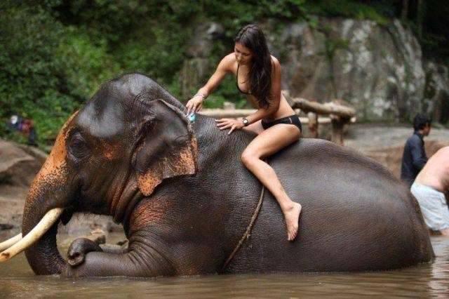 Fucking elephants get more love than me&hellip; =_=