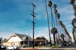 South Central, Los Angeles, Ca, 2014