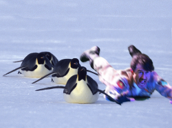 emdoestuff:i made more guys markiplier vibing with the penguins and markiplier failing yoga