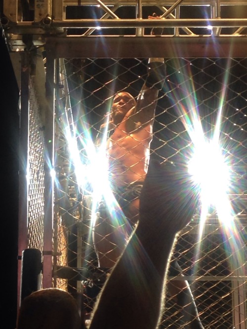 ikindadigrandyorton:  Listening to Marques Houston’s song “Naked” and I felt like posting MY PICTURES of Randy Orton from a few weeks ago.