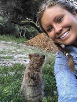 awwww-cute:  Quokka mirin (Source: https://ift.tt/2IOsqcf)