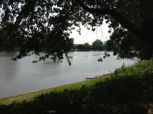 mint patches, flowers, and a picnic by the river. discovered so many wonderful and friendly spots today.