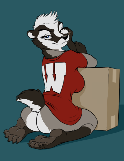 Porn Pics kalaharifox:American badgers are my all-time