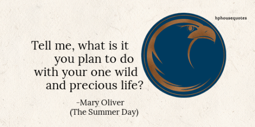 RAVENCLAW:“Tell me, what is it you plan to dowith your one wild and precious life?”–Mary