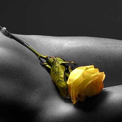 Quello Che Cerchi