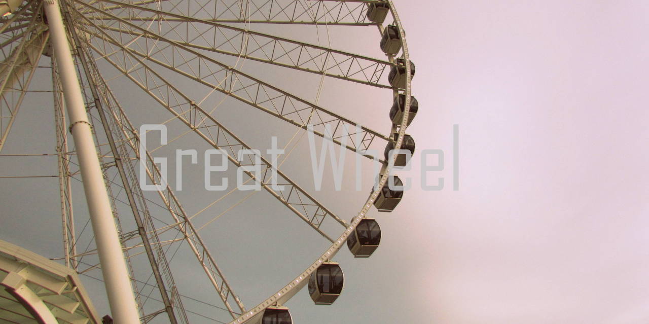 the-mircat-blog:  In and around Seattle, Washington 