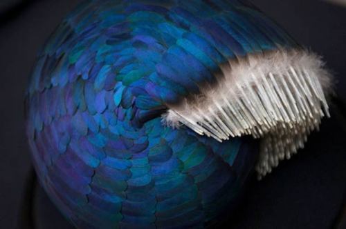 ethonydawn:art-tension:The fascinating feathers sculptures by Kate MccGwireThe fascinating sculpture