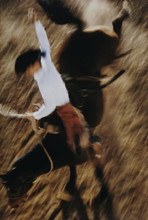 thingsifoundatwork:Ernst Haas, California, 1957