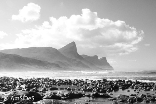 amsides:“Sleeping rhino (?)”, Cape of Good Hope, South Africa - April 2011