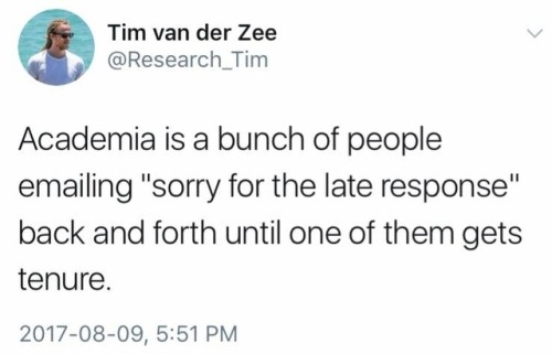 eighthdoctor:[tweet from Tim van der Zee @Research_Tim:Academia is a bunch of people emailing &ldquo