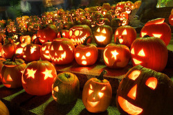 alexislove141:  Halloween na We Heart It http://weheartit.com/entry/83799453/via/alexislove141