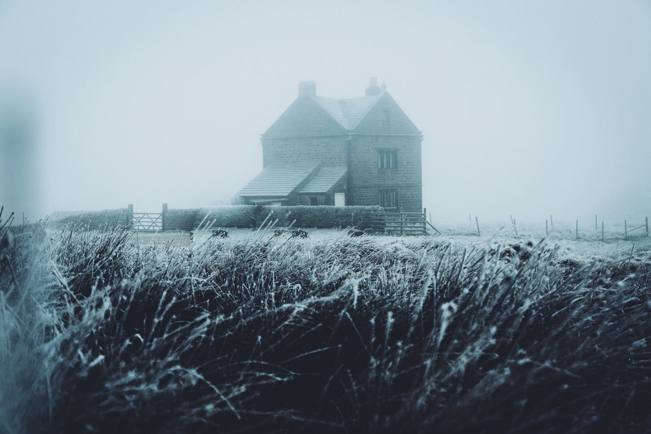 dpcphotography: Winter Blues