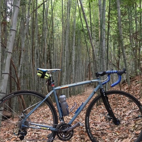 happybiketaro:Bamboo trees  #otakefr700 (at Higashihiroshima-shi, Hiroshima, Japan)www.insta