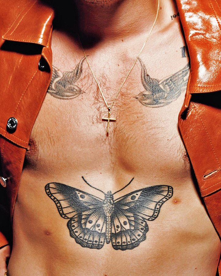 Harry Styles Nipples